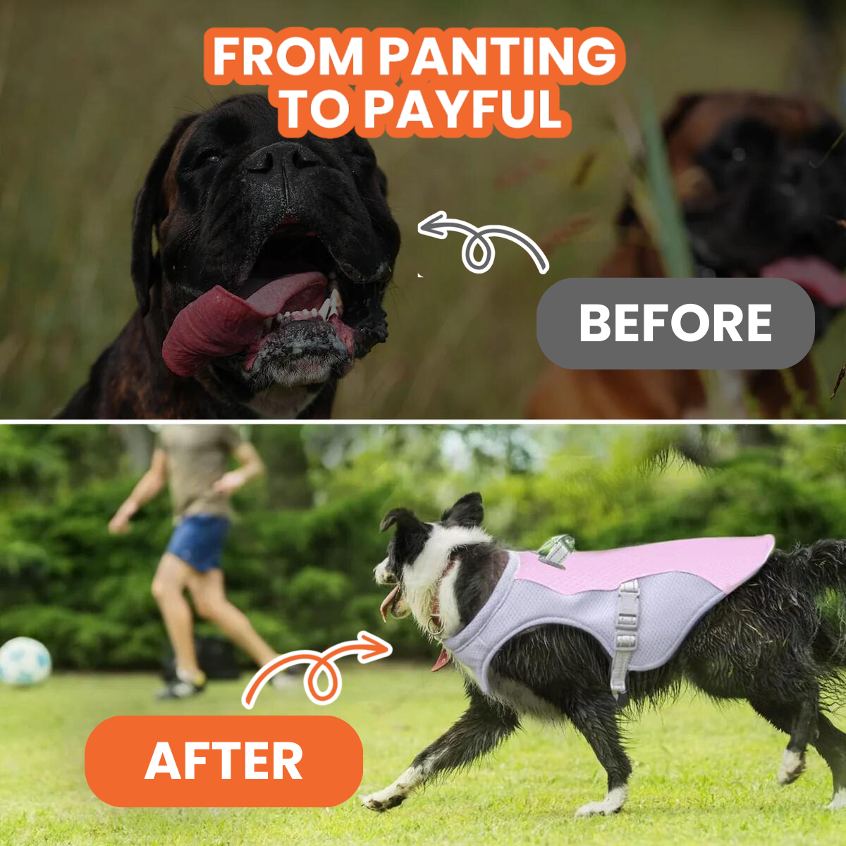 Cooling Dog Vest