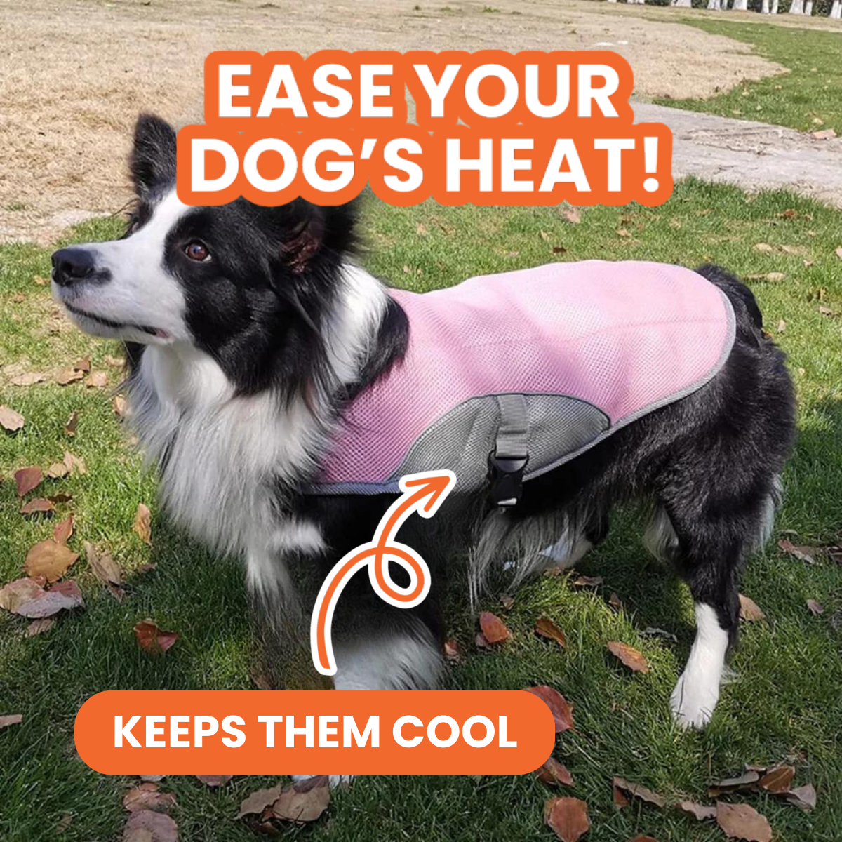 Cooling Dog Vest