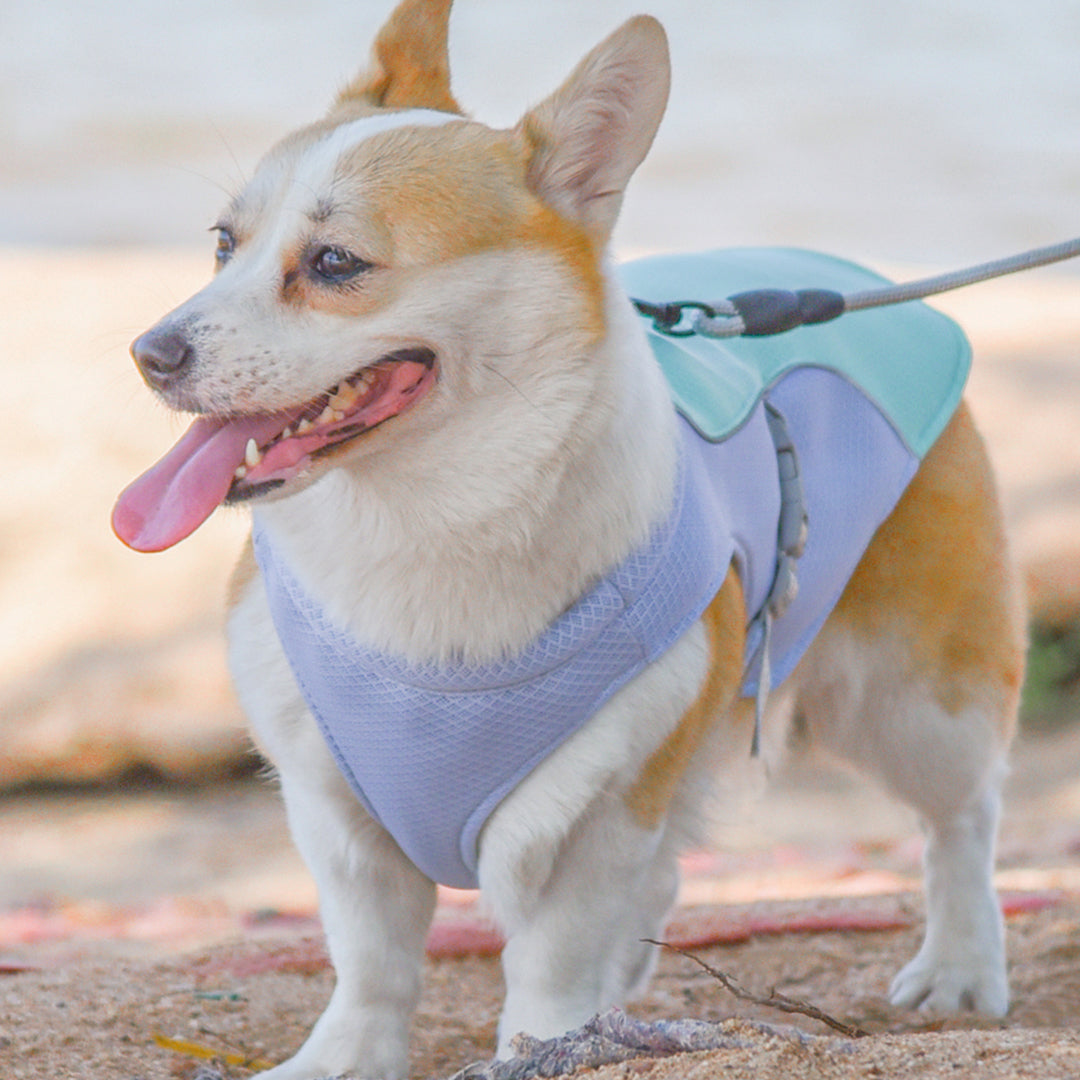 Cooling Dog Vest