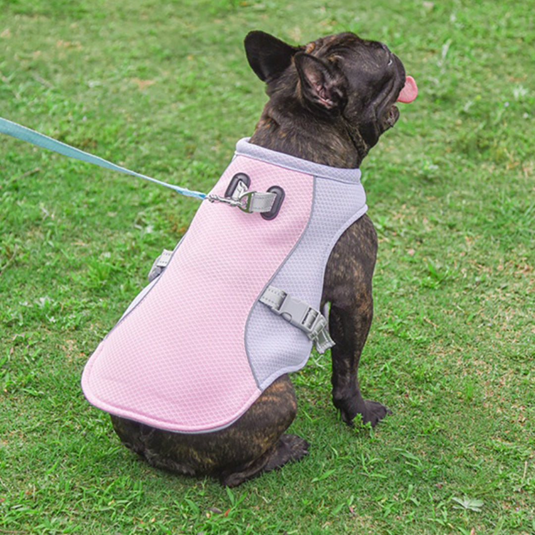 Cooling Dog Vest